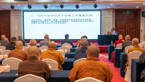 1745384905108834.jpg 4.jpg